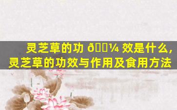 灵芝草的功 🐼 效是什么,灵芝草的功效与作用及食用方法